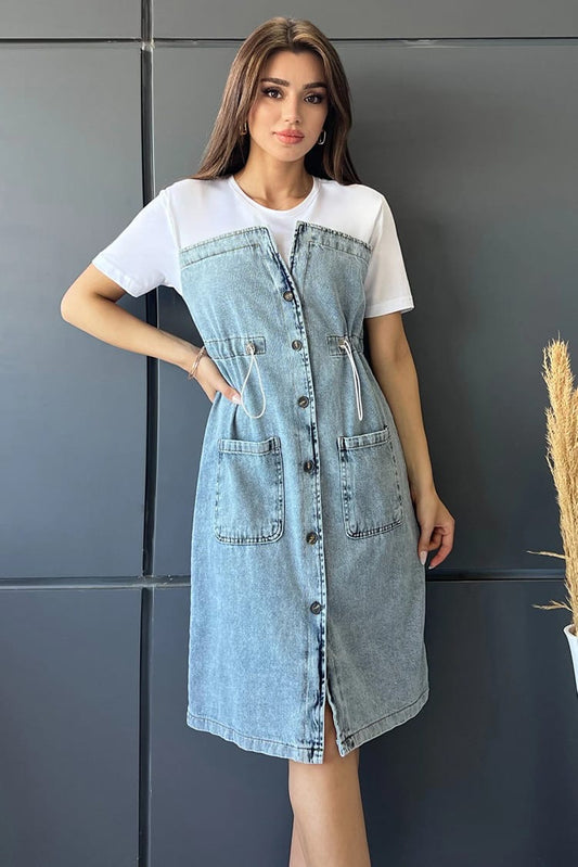 Clara denim dress